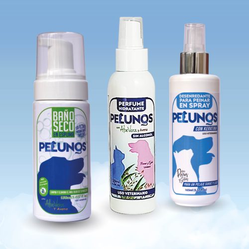 Rutina Cuidado en Casa Perro