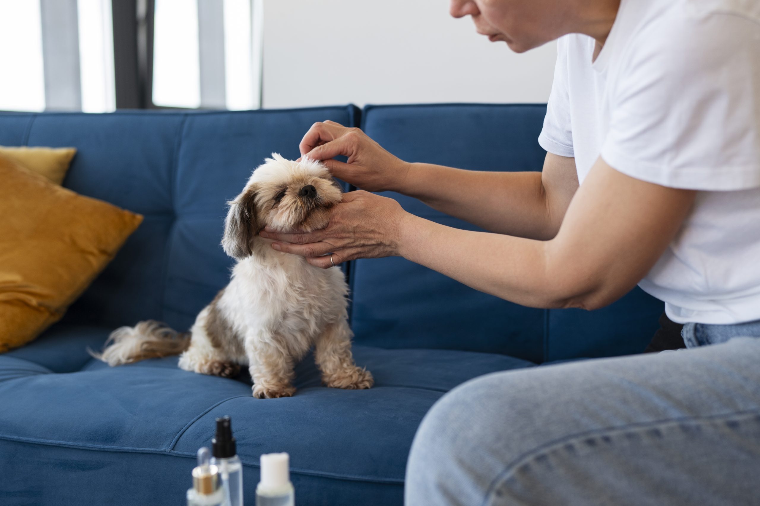 side-view-woman-cleaning-dog