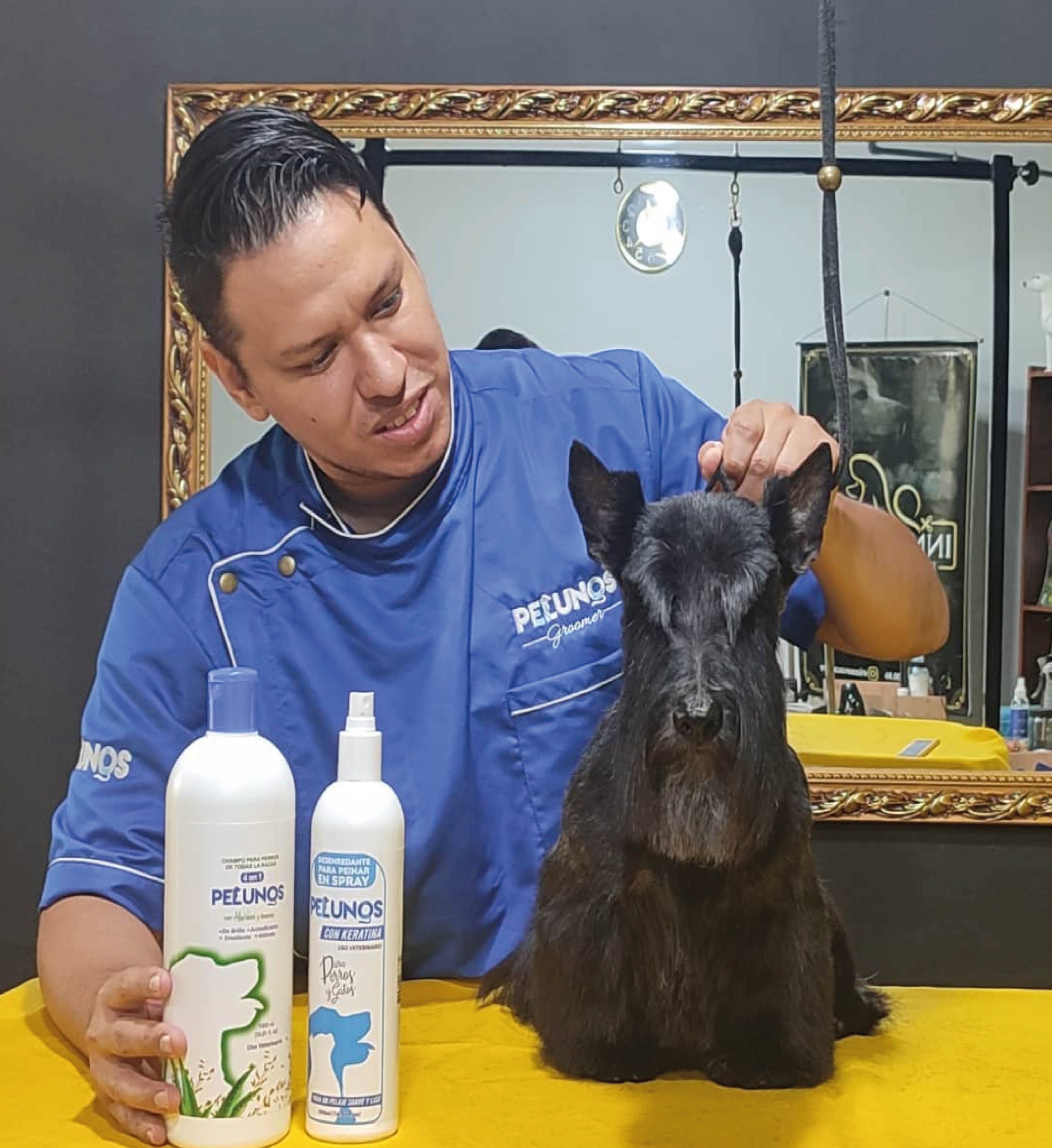 Categoría Pet Grooming