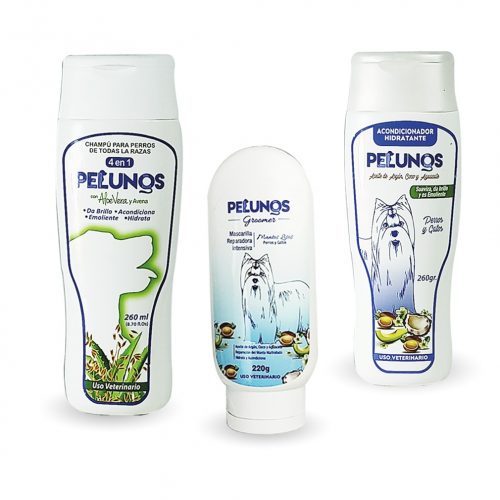 Rutina De Recuperación