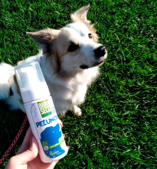 PELUNOS-PRODUCTOS-DE-CUIDADO-PARA-LA-MASCOTA-11
