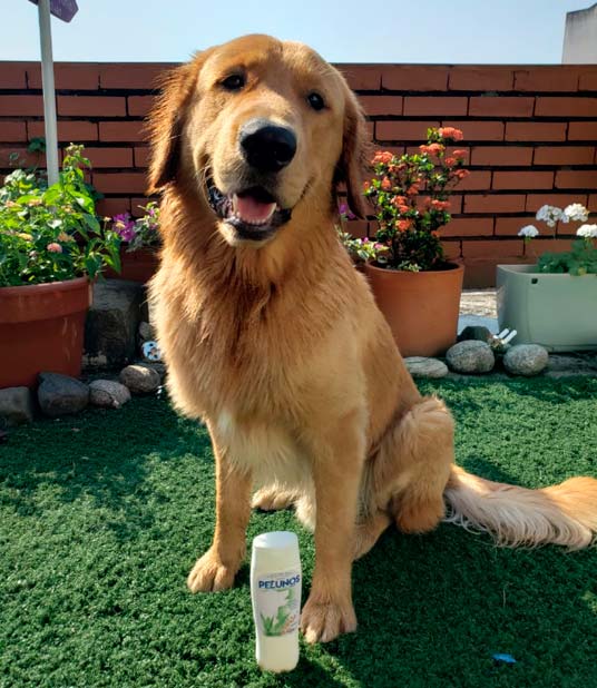 PELUNOS-PRODUCTOS-DE-CUIDADO-PARA-LA-MASCOTA-12